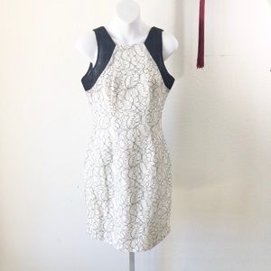 Badgley Mischka Sleeveless Dress White with Black Trim size 4